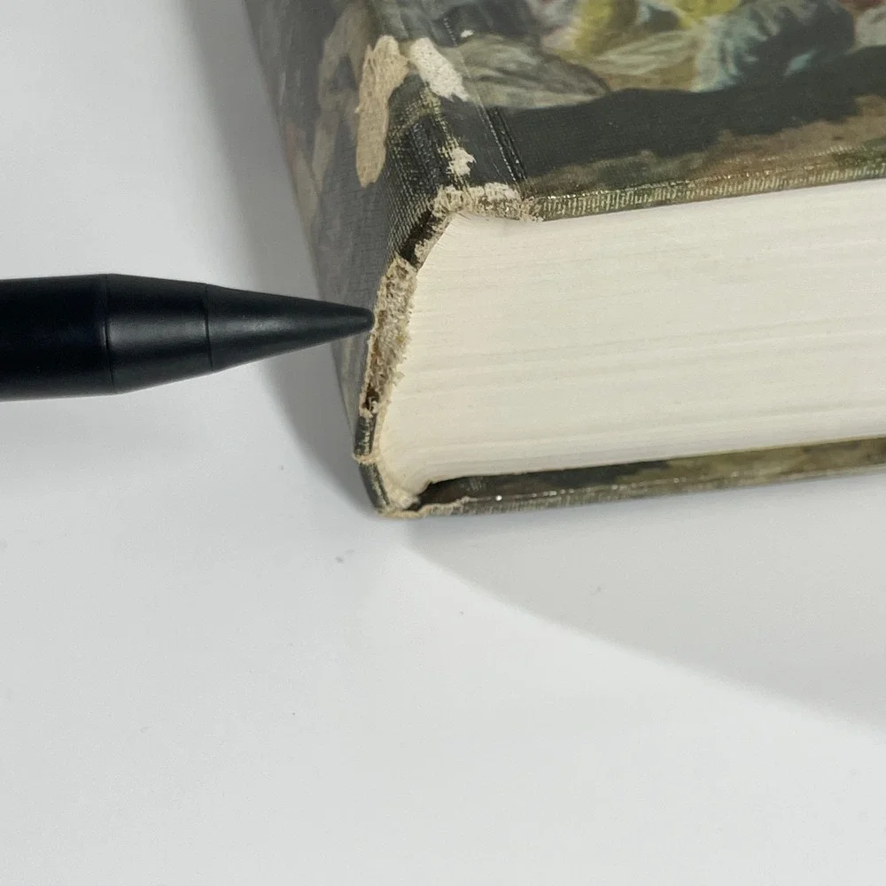 This is the Hour A Novel About Goya Lion Feuchtwanger Heritage Press Illustrated